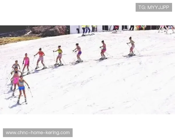 高山滑雪赛事赛程适应不同气候条件，高山滑雪将在哪个赛区举行